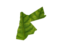 Jordan carte fabriqué de vert feuilles écologie concept png