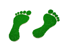 Footprint shape made of green grass and Rock ground texture cross section with 3d illustration png