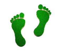 Footprint shape made of green grass and Rock ground texture cross section with 3d illustration png