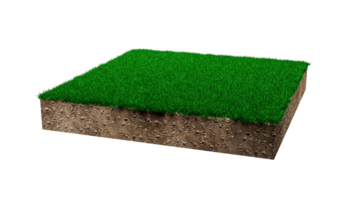 Square of green grass field green grass and Rock ground texture cross section with 3d illustration png