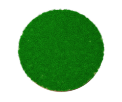 Detail of a field of green grass. Grass arena isolated. High resolution 3d illustration png