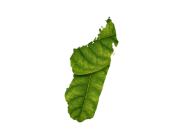 Madagascar map made of green leaves ecology concept png