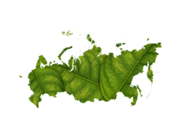 Russia map made of green leaves ecology concept png