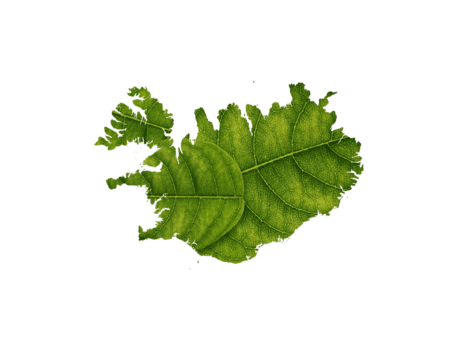 Islandia mapa hecho de verde hojas en blanco antecedentes ecología concepto png