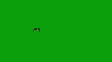 aquila volante verde schermo video 6