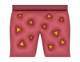 3d pair of shorts with a triangle pattern png