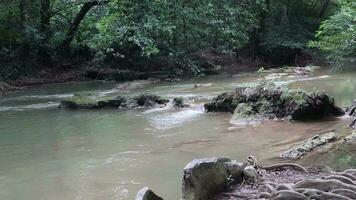 namtokchetsaonoï nationale parc ,cascade dans Profond forêt à saraburi province, Thaïlande video