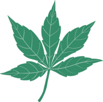 dessin à main levée feuille de cannabis simplicité png