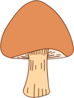 doodle freehand sketch drawing of wild mushroom mushroom. png