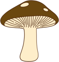 doodle freehand sketch drawing of wild mushroom mushroom. png