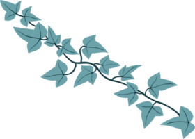 Simplicity ivy freehand drawing png