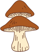 griffonnage à main levée esquisser dessin de sauvage champignon champignon. png
