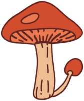 doodle freehand sketch drawing of wild mushroom mushroom. png