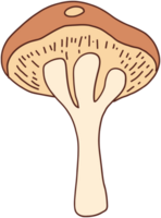 rabisco à mão livre esboço desenhando do selvagem cogumelo cogumelo. png
