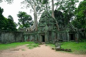 Ta Prohm temple in Siem Reap photo