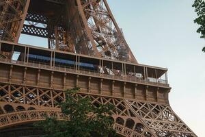 soleado día ver de eiffel torre con verde árbol foto