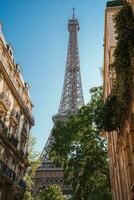 Sunny Summer Day in Paris with Eiffel Tower View photo