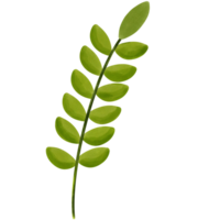 lonely green leaf png