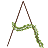 Alphabet a-z wrapped around fern leaves png