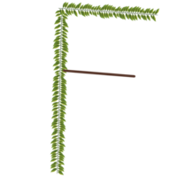 Alphabet a-z wrapped around fern leaves png