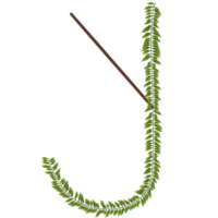 Alphabet a-z wrapped around fern leaves png