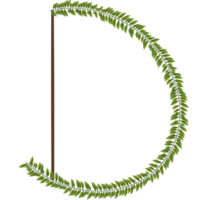 Alphabet a-z wrapped around fern leaves png