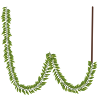 Alphabet a-z wrapped around fern leaves png