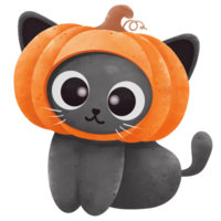 Halloween-Katzenkarikatur png