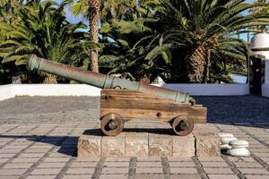 a cannon on display in front of a palm tree photo