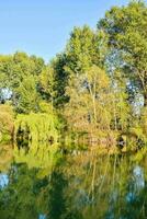 un estanque rodeado por arboles y un azul cielo foto