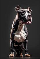 Ai generated Portrait shot of beautiful pit bull terrier photo