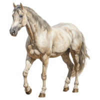 caballo aislado en transparente antecedentes . ai generado png