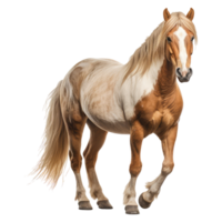 cavalo isolado em transparente fundo . ai gerado png