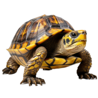 tortue isolé sur transparent Contexte . ai généré png