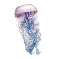 jellyfish isolated on transparent background . AI Generated png