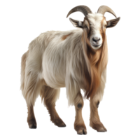 Goat isolated on transparent background . AI Generated png