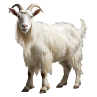 Goat isolated on transparent background . AI Generated png