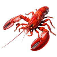 Lobster isolated on transparent background . AI Generated png