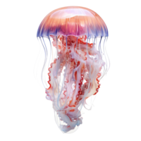 jellyfish isolated on transparent background . AI Generated png