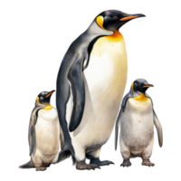 pingüino aislado en transparente antecedentes . ai generado png