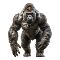 Gorilla isolated on transparent background . AI Generated png