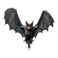 bat isolated on transparent background . AI Generated png