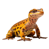 salamandra isolado em transparente fundo . ai gerado png