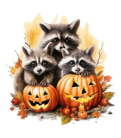 halloween cute Raccoon isolated on transparent background . AI Generated png