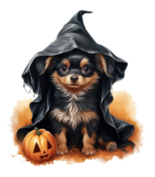 Cute dog in halloween costume isolated on transparent background . AI Generated png