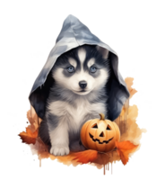 Halloween carino cucciolo siberiano rauco cane isolato su trasparente sfondo . ai generato png