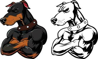 Tough Doberman pinscher guard dog vector illustration, Tough Guard Doberman or Dobie dog arms crossed on chest vector image, colored and black and white mascot character logo template