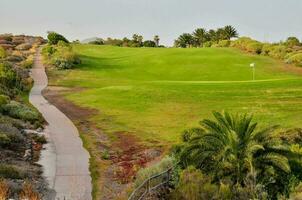 a golf course with a pathway and palm trees photo