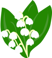 lily of the valley png