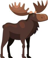 Moose flat style vector illustration, elk deer, Cervus canadensis, wapiti flat style stock vector image